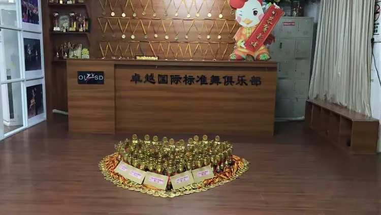 捷克队卓越表现！赢得比赛喜人成绩！的简单介绍