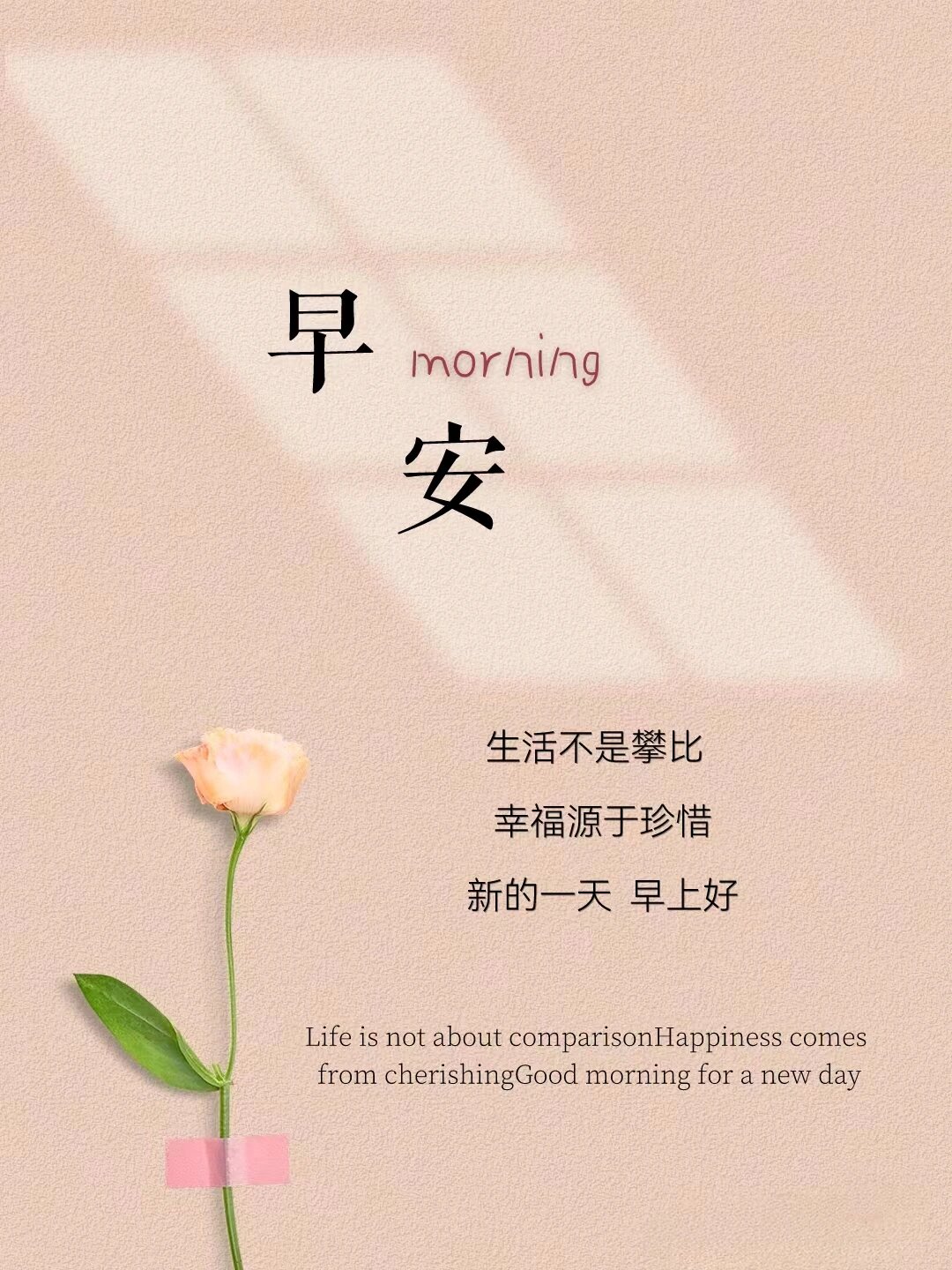 沙尔克迎接新挑战，全力以赴的简单介绍