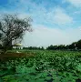 洪湖区队员表现亮眼，夺得宝贵胜利