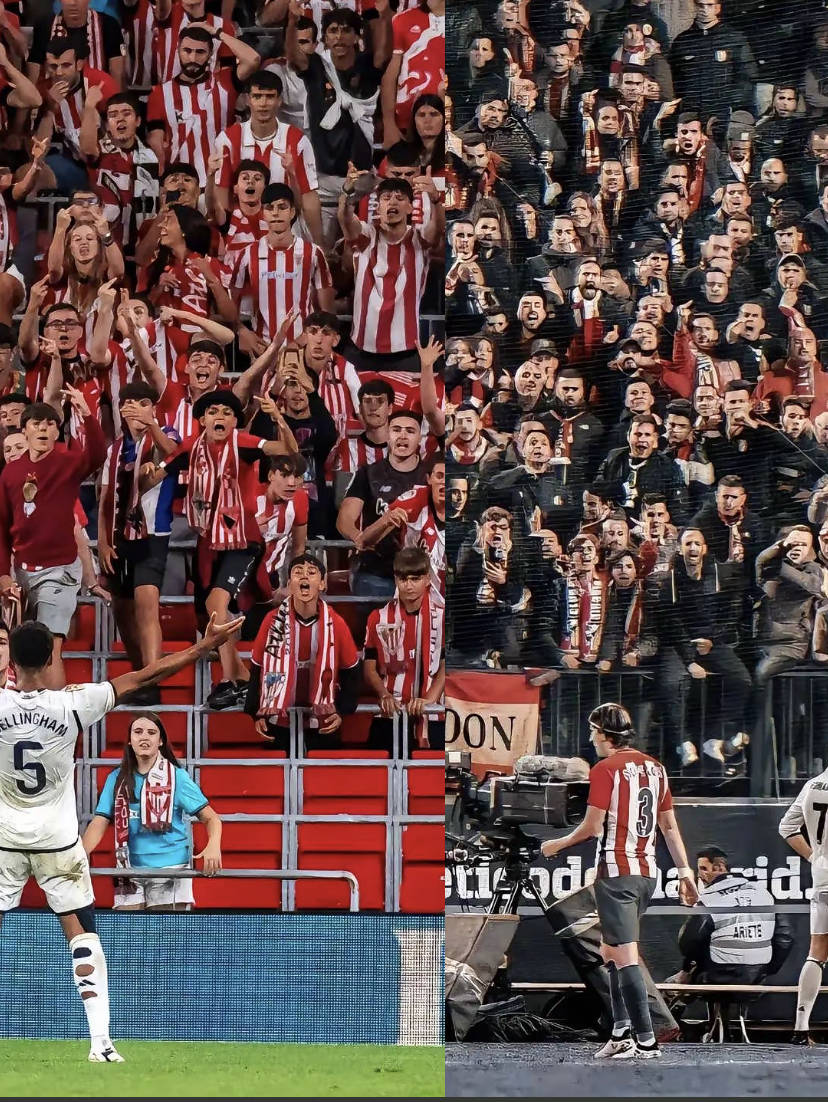 马德里竞技主场胜利，冠军联赛欧洲之旅延续的简单介绍