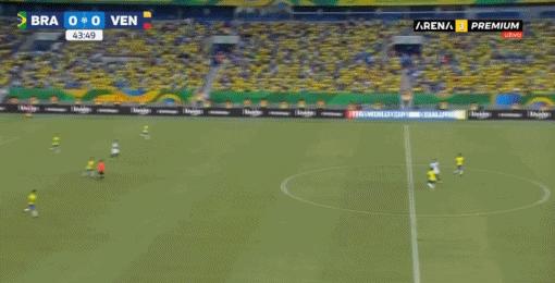 委内瑞拉队实力爆棚,引来赞誉的简单介绍 委内瑞拉队实力爆棚,引来赞誉的简单介绍