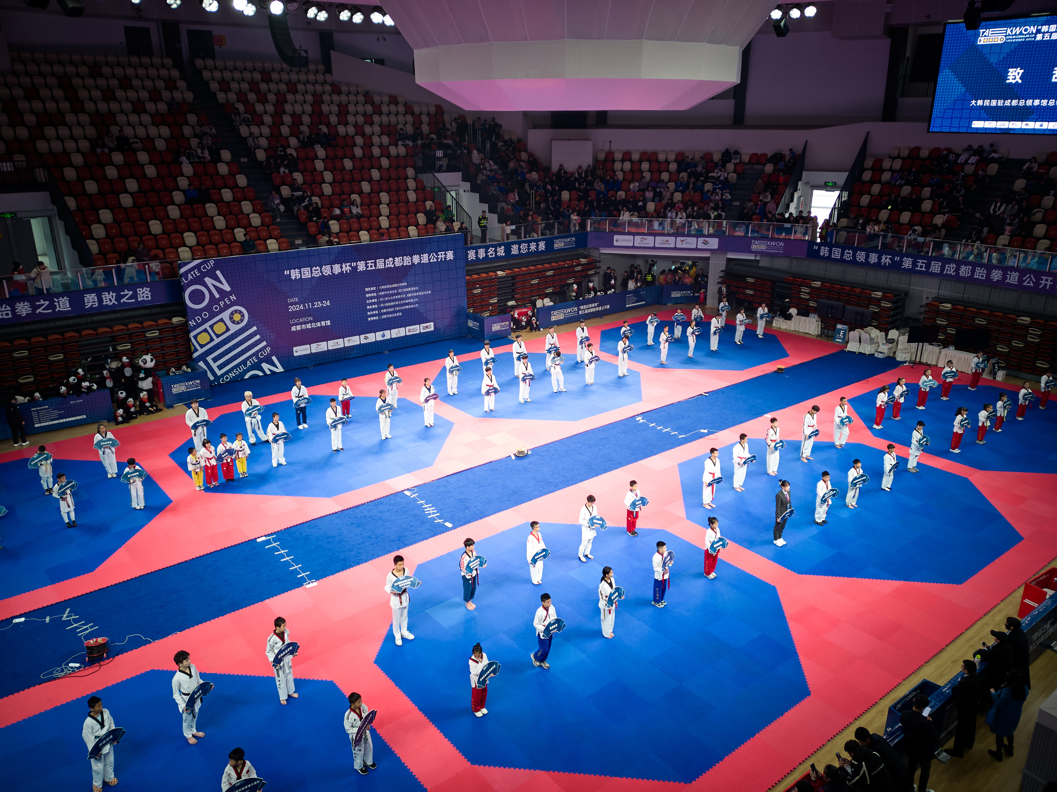 九游体育官方入口-跆拳道对决，韩国选手力压众人夺冠